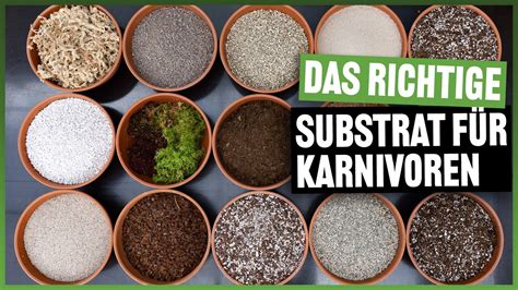 176 Substrate und Zusatzstoffe im Vergleich optimale Erde für