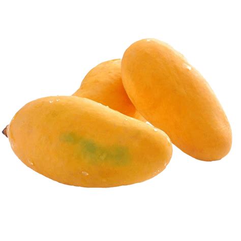 Sindhiri Mango | Aam | Online Nursery in Lahore | Gulab.pk