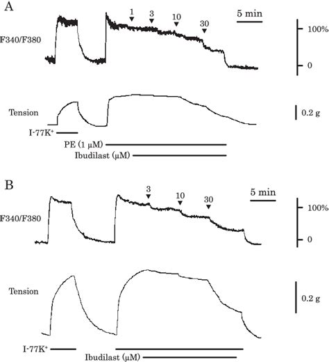 Effects of ibudilast on the PE (A)-or I-77K + (B)-induced increases in ...