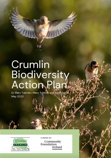 Crumlin Biodiversity Action Plan Actions For Biodiversity