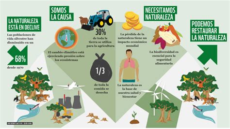 Informe Planeta Vivo 2020 WWF España