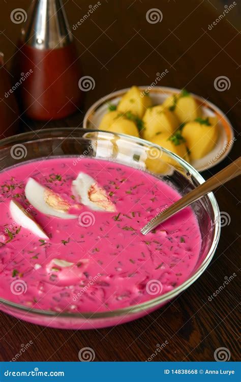 Lithuanian Cold Borscht Stock Photo Image Of Meal Organic 14838668