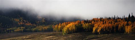 Fall Colors near Walden :: Behance