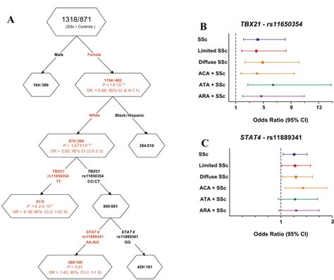 Polymorphisms In Tbx21 And Stat4 Increase The Risk Of Systemic