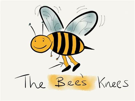 The Bees Knees Illustration By A Nicholson Ward