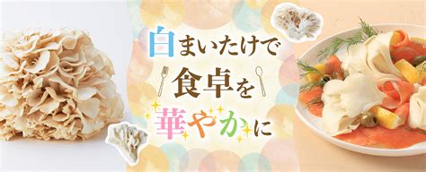 白まいたけで食卓を華やかに｜雪国まいたけ極「白」特集レシピ