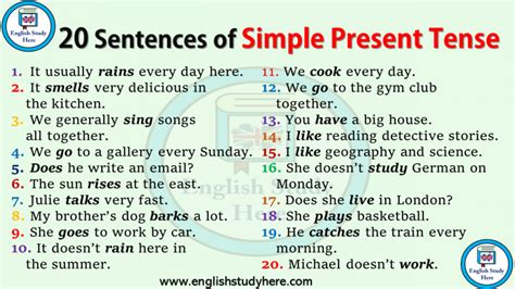 A Poster With Some Words In It That Say Sentences Of Simple Present