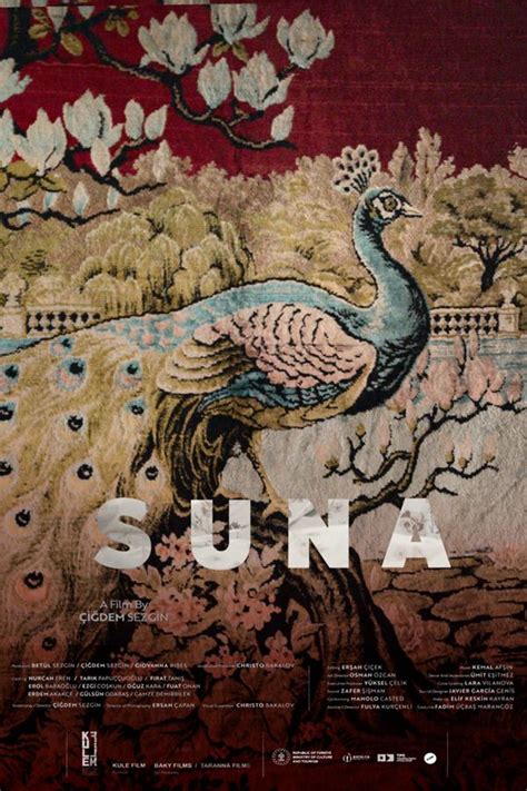 Suna Film Eleştirisi ve Yorumlar - OrtaKoltuk