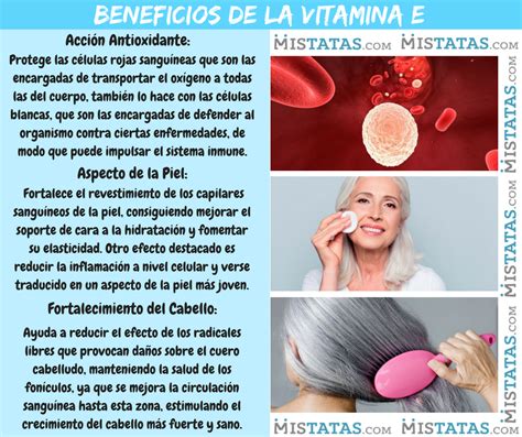 Beneficios De La Vitamina E