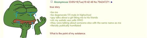 Anon Questions His Existence Greentext