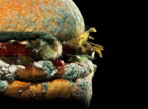 What The Moldy Whopper Can Teach Brands About Authenticity Muse By Clios