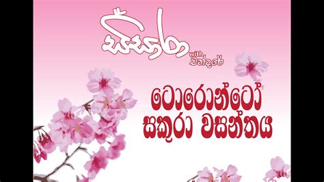 ටොරොන්ටෝ සකුරා වසන්තය සිසාරා With චන්දරේ පළමු දිගහැරුම Ep 1 Youtube