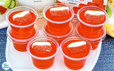 Easy Jello Shot Recipes With Malibu Rum Dandk Organizer