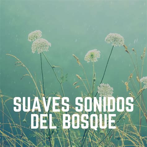 Suaves Sonidos Del Bosque Album By Sonidos De La Naturaleza Para