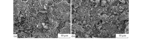 SEM Morphologies Of HA Based Coatings Reinforced With 15 Vol TiO 2 On