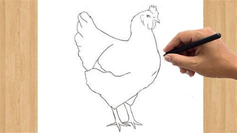 How To Draw A Chicken Easy Hen Drawing Step By Step Tutorial Youtube