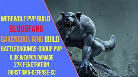 Powerful Werewolf PVP Build For ESO Scions Of Ithelia Bloodfang YouTube