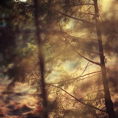 Stream Auld Lang Sayne Acapella Mairi Campbell And Dave Francis Cover Sex Thecity Ost By