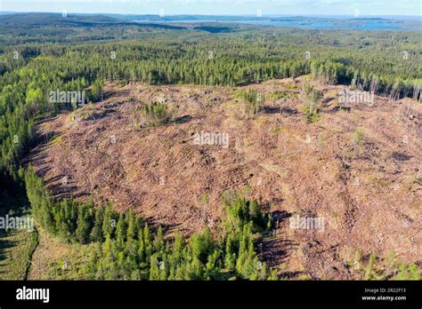 Deforestation Aerial View Sweden Stock Photo Alamy