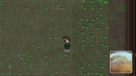 Rimworld Beginners Guide How To Start Tips Tricks Gamer Empire