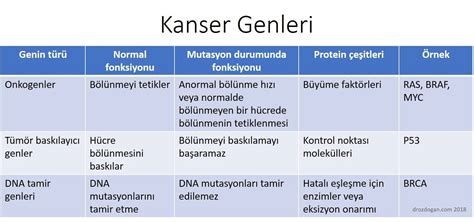 Kanser H Cresinin Kendi Kendini Yok Etmesini Sa Layacak Tedavi