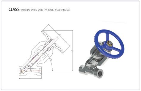 Bonnetless Y Globe Valve Fmc Valve Valves And Automation System