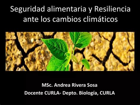 PPT Seguridad alimentaria y Resiliencia ante los cambios climáticos