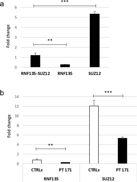 Expression Levels Of The Chimeric Rnf Suz And Wild Type