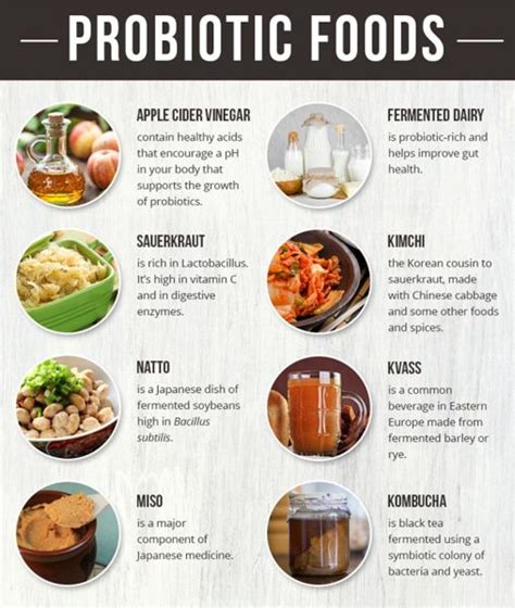 Infographic Probiotic Rich Foods Ttn Palawan In