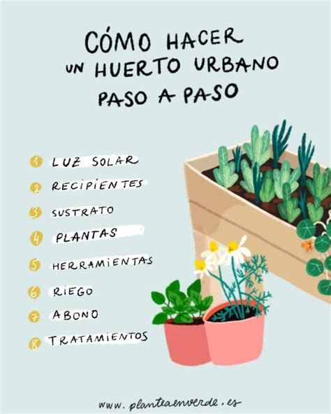 Guía completa: Cómo plantar albahaca en maceta paso a paso - Plantasmanía 🌱 🌱