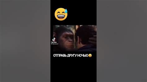 ЧУПАПИ МУНЯНЮ - YouTube