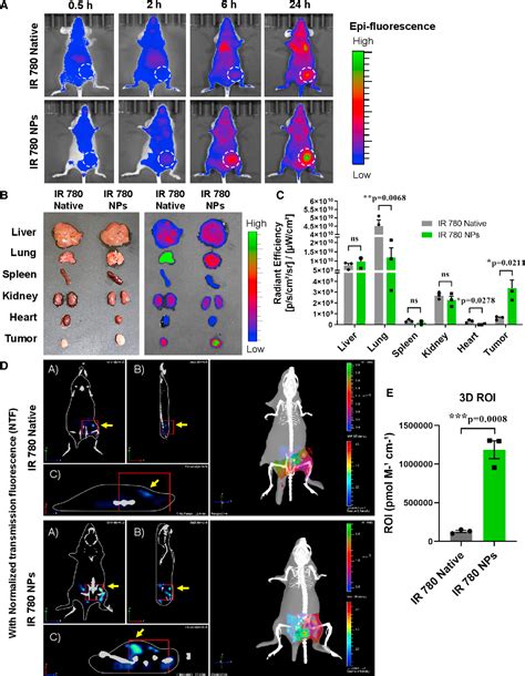 Figure From Nimbolide Based Nanomedicine Inhibits Breast Cancer Stem