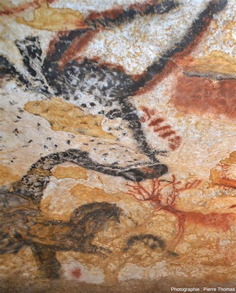 Les Ocres Et Autres Pigments Utilis S Lascaux Et Autres Lieux Pour