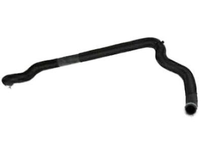 Genuine Nissan Maxima Radiator Hose