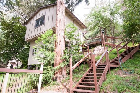 Redwood Forest Guest House - Cabins for Rent