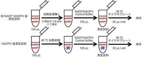 Nadp Nadph Assay Kit Wst N Dojindo