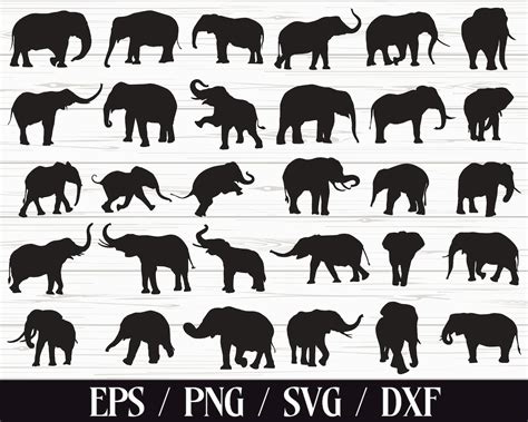 Siluetas De Elefante Elefante Svg Elefantes Svg Vida Etsy M Xico