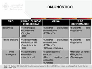 Necrosis Tubular Aguda PPT