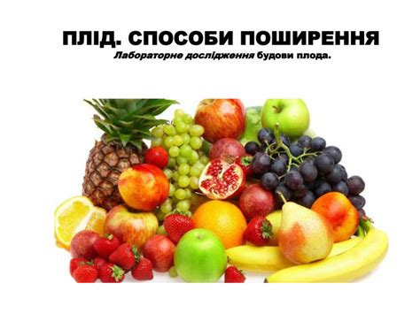 презентація до уроку "Плоди"