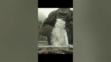 Kong Vs Giant Squid Fight Scene Kong Skull Island2017 Shorts Viral Youtubeshorts Youtube