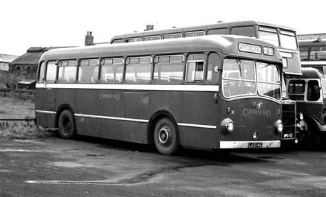 Leyland Royal Tiger Ecw Bus Coach Leyland Bus