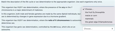 Solved Match The Description Of The Life Cycle Or Sex Chegg