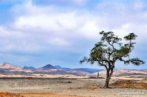 Arkawit Eastern Sudan Red Sea State أركويت، شرق السودان، ولاية البحر