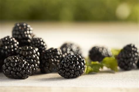 Blackberry Nutrition Facts & Health Benefits | Driscoll’s