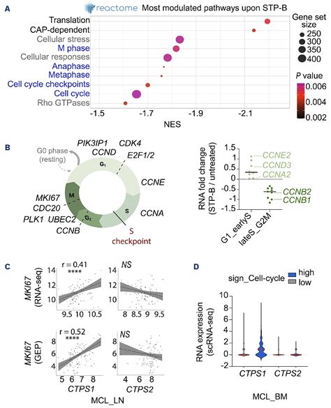 Selective Pharmacologic Targeting Of Ctps Shows Single Agent Activity