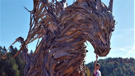 Il Drago Di Vaia A Lavarone Alpe Cimbra I Viaggi Di Ciopilla