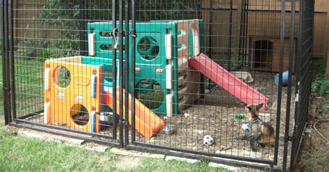 The Pet Fox Pet Fox Enclosures Fencing