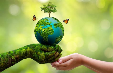 World Environment Day 2023 जानिए कब और क्यों मनाया जाता है विश्व पर्यावरण दिवस Janpanchayat