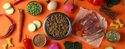 Uncovering The Role Of Animal And Plant By Products In The Pet Food