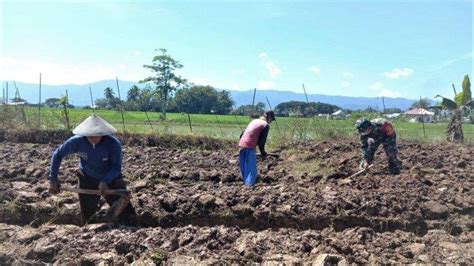 Babinsa Dumoga Bantu Warga Olah Lahan Pertanian Ringankan Beban Saat